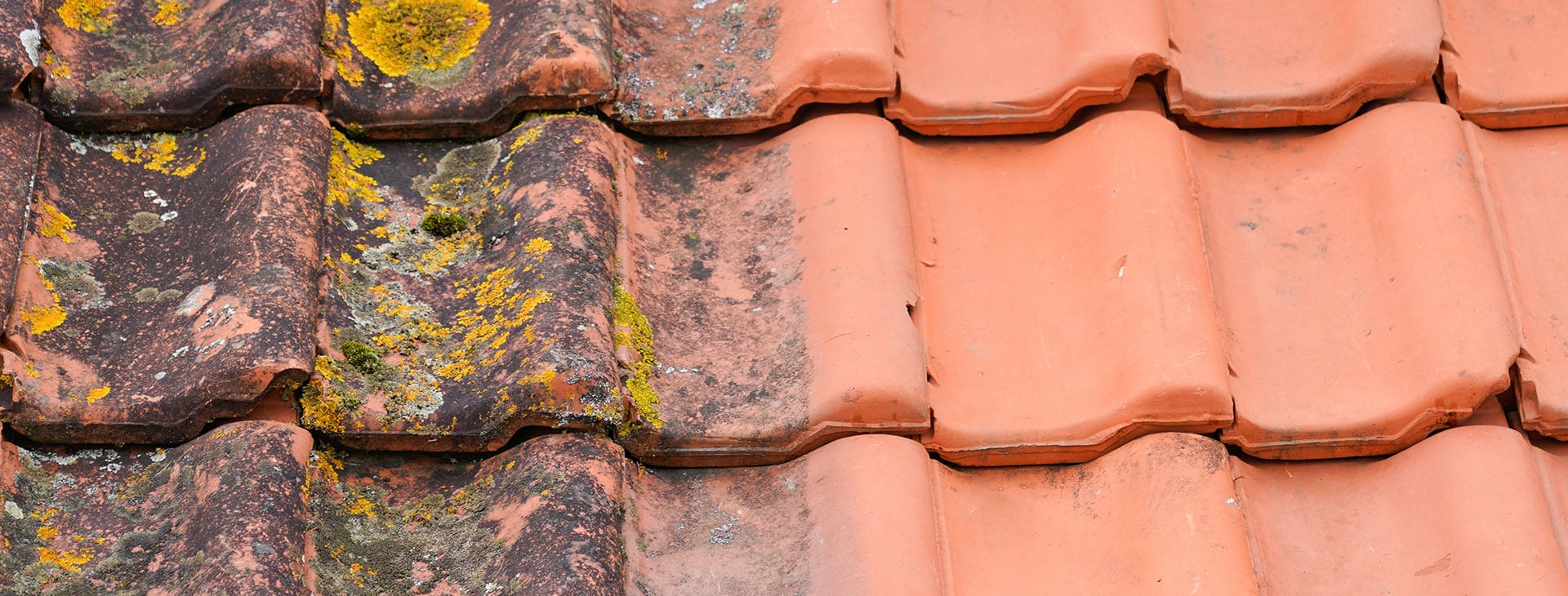 Avant après nettoyage de toiture